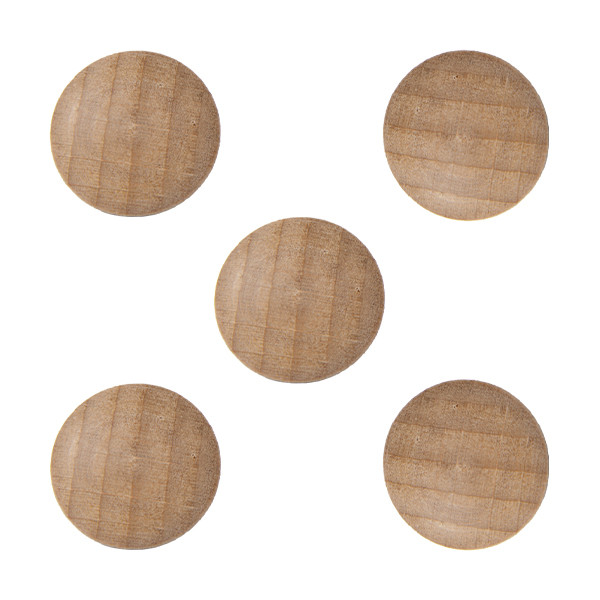 Legamaster Wooden aimants (5 pièces) 7-181725 262083 - 1