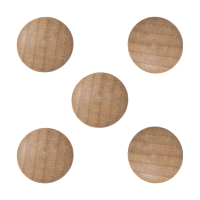 Legamaster Wooden aimants (5 pièces) 7-181725 262083