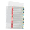 Leitz Cosy intercalaires imprimables en plastique A4 avec 20 onglets (11 trous)