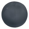 Leitz Ergo Cosy Active ballon d'assise - gris 52790089 227591