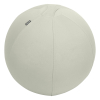 Leitz Ergo Cosy Active ballon d'assise 55 cm - gris clair 65410085 227623 - 1