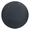 Leitz Ergo Cosy Active ballon d'assise 55 cm - gris foncé 65410089 227624 - 1