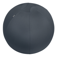 Leitz Ergo Cosy Active ballon d'assise 65 cm - gris foncé 52790089 227591