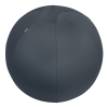 Leitz Ergo Cosy Active ballon d'assise 65 cm - gris foncé 52790089 227591 - 1