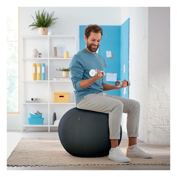 Leitz Ergo Cosy Active ballon d'assise 65 cm - gris foncé 52790089 227591 - 5
