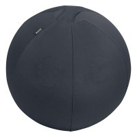 Leitz Ergo Cosy Active ballon d'assise 65 cm - gris foncé 65420089 227626