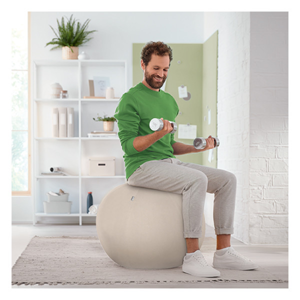Leitz Ergo ballon d'assise active 65 cm - gris clair 227625 - 4