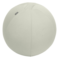Leitz Ergo ballon d'assise active 75 cm - gris clair 65430085 227627
