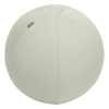 Leitz Ergo ballon d'assise active 75 cm - gris clair 65430085 227627 - 1