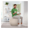 Leitz Ergo ballon d'assise active 75 cm - gris clair 65430085 227627 - 4