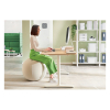 Leitz Ergo ballon d'assise active 75 cm - gris clair 65430085 227627 - 5