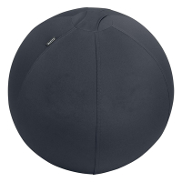 Leitz Ergo ballon d'assise active 75 cm - gris foncé 65430089 227628