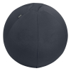 Leitz Ergo ballon d'assise active 75 cm - gris foncé 65430089 227628 - 1
