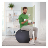 Leitz Ergo ballon d'assise active 75 cm - gris foncé 65430089 227628 - 4