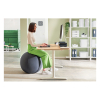 Leitz Ergo ballon d'assise active 75 cm - gris foncé 65430089 227628 - 5