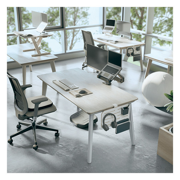 Leitz Ergo organiseur de bureau brochable 42 x 25 cm 65480000 202753 - 7