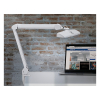 Maul MAULintro lampe LED pour poste de travail avec pince dimmable - blanc 8205802 402378 - 3