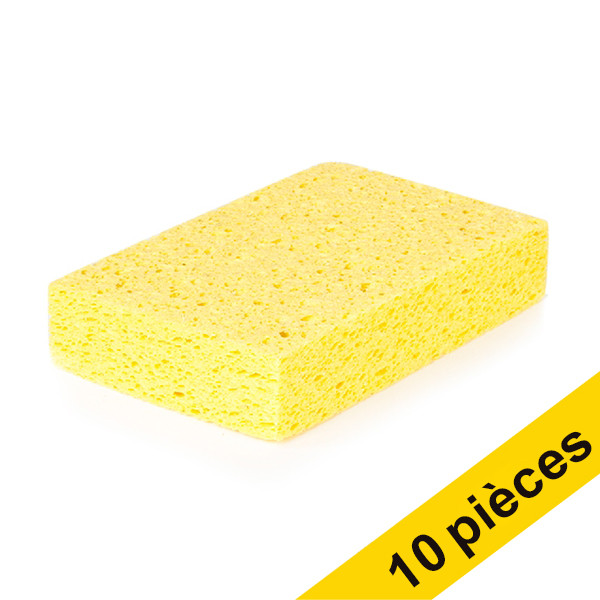 Offre: 10x 123schoon éponge viscose 14 x 9 x 3 cm SDR06161 - 1