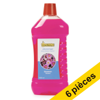 Offre 6x 123schoon nettoyant universel Fleurs (1000 ml)  SDR06050