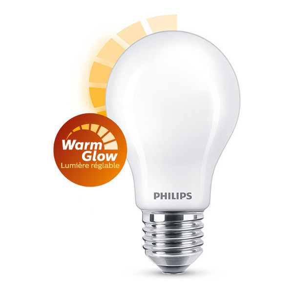 Philips E27 ampoule LED poire WarmGlow mate dimmable 10,5W (100W) 929003011701 LPH02584 - 1