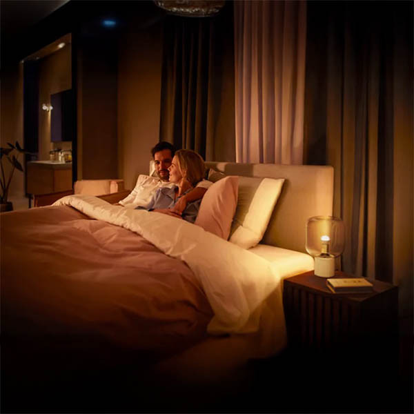 Philips Hue E14 ampoule intelligente sphérique P45 Zigbee - blanc LPH03367 - 4