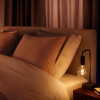Philips Hue E27 ampoule intelligente Zigbee - blanc LPH02737 - 6