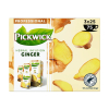 Pickwick Professional Ginger thé (3 x 25 pièces)