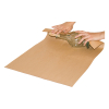 Raadhuis papier d'emballage brun (75 cm x 250 m) RD-351162 209302 - 3