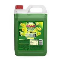 Raak sirop Reine Claude (5000 ml) 423398