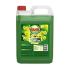 Raak sirop Reine Claude (5000 ml)