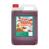 Raak sirop fraise (5000 ml)
