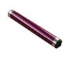 Ricoh 54469510 tambour (d'origine) 074504 - 1