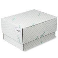 Rillstab 17913 papier listing 1 exemplaire 380 mm x11 pouces 2000 feuilles (60 g/m²) - vert zèbre 17913 068024