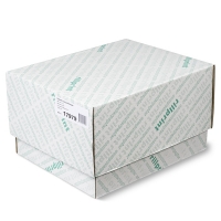 Rillstab 17979 papier listing 1 exemplaire 240 mm x11 pouces 2000 feuilles (60 g/m²) - blanc 17979 068008