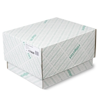 Rillstab 17989 papier listing 2 exemplaires 240 mm x11 pouces 1000 feuilles (60-57 g/m²) - blanc 17989 068020