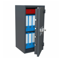 Salvus Ravenna 8 coffre-fort anti-effraction et anti-feu 1101000714 225225
