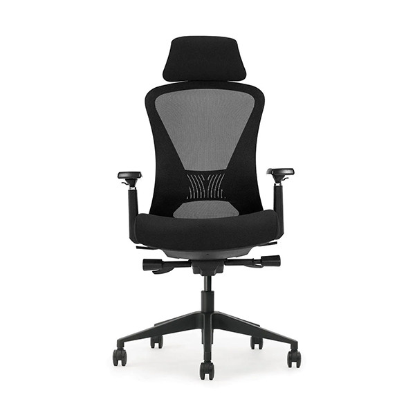Schaffenburg 600 NEN chaise de bureau - noir 205867 - 2