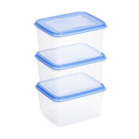 Sunware Club Cuisine set de boîtes de congélation transparentes 1,5 litre - bleu 76700663 216783