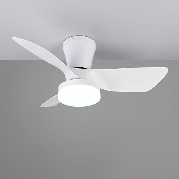 Ventilateur de plafond avec éclairage LED | Randers | Ø 76 cm | 2700-6000K | Blanc | 20W | Trio Lighting LTR00716 - 2