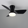 Ventilateur de plafond avec éclairage LED | Randers | Ø 76 cm | 2700-6000K | Noir | 20W | Trio Lighting LTR00717 - 2