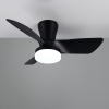 Ventilateur de plafond avec éclairage LED | Randers | Ø 76 cm | 2700-6000K | Noir | 20W | Trio Lighting LTR00717 - 3