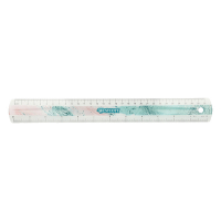 Westcott Trendsetter règle en plastique (30 cm) - rose AC-E13300-RO 221083