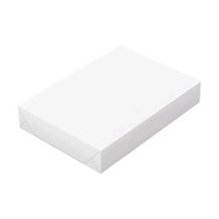 White Label papier A4 1 ramette de 500 feuilles – 75 g/m² 302085