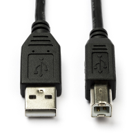 White label Câble d'imprimante USB longueur 1 mètres - noir CCGL60100BK10 N010204000