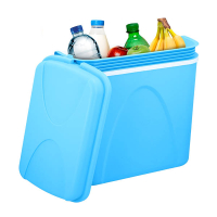 Glacière 24 litres 828975