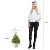 Norton sapin de Noël artificiel 60 cm avec 15 lumières LBB00102 - 4