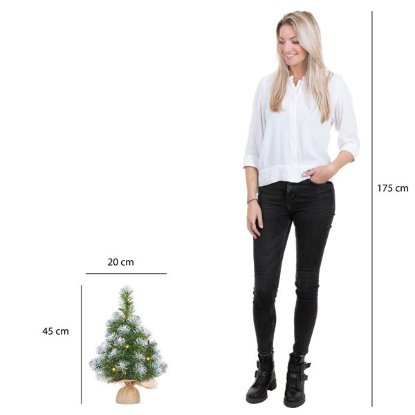 Norton sapin de Noël artificiel enneigé avec 10 lumières 45 cm LBB00099 - 3