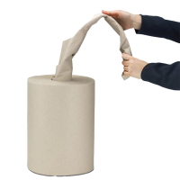 Papier de remplissage 35 cm x 450 m (70 grammes) (3 pièces) - brun 209770