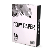 Papier d'impression A4 1 ramette de 500 feuilles – 75 g/m² 302085