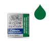 Winsor & Newton Cotman aquarelle (demi-godet) - 312 vert de Hooker foncé